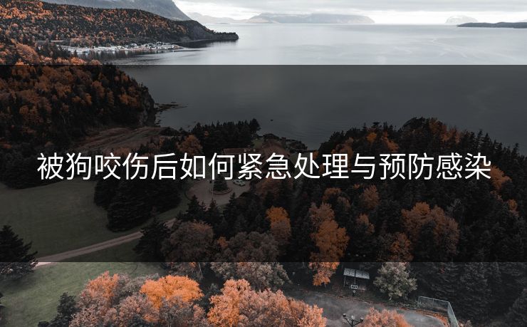 被狗咬伤后如何紧急处理与预防感染