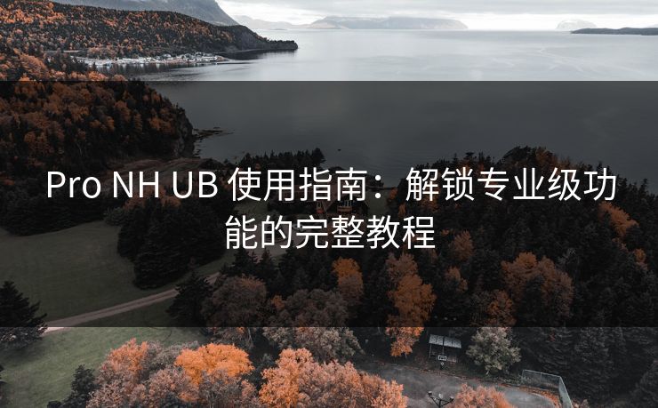 Pro NH UB 使用指南：解锁专业级功能的完整教程