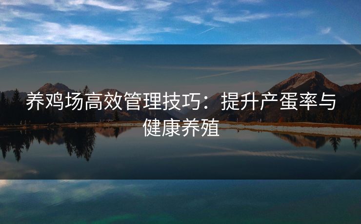 养鸡场高效管理技巧：提升产蛋率与健康养殖