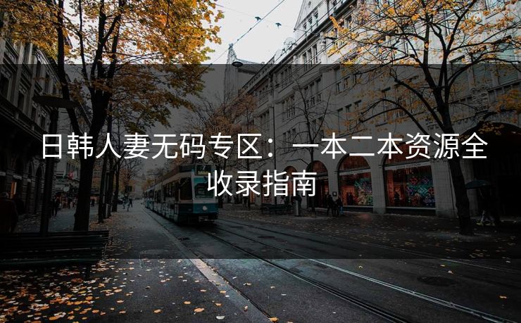 日韩人妻无码专区:一本二本资源全收录指南