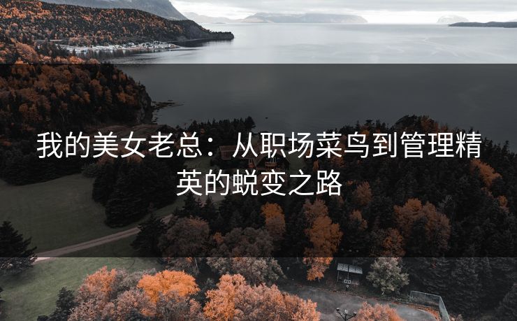 我的美女老总：从职场菜鸟到管理精英的蜕变之路